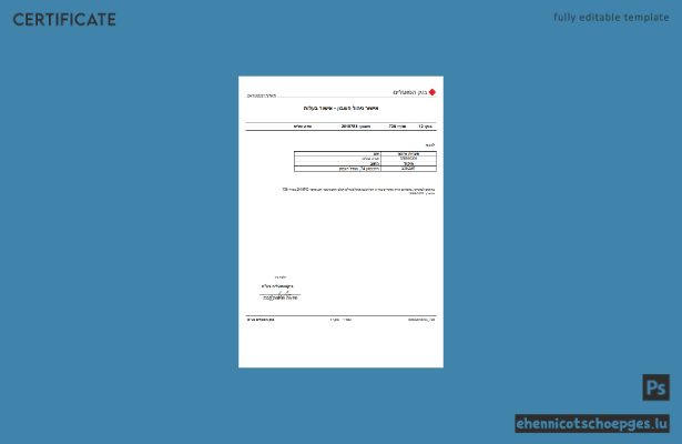 Kontoverwaltung bei der Israel Bank of Hapoalim – Eigentumsnachweis im Word- und PDF-Format (Beispielvorschau)